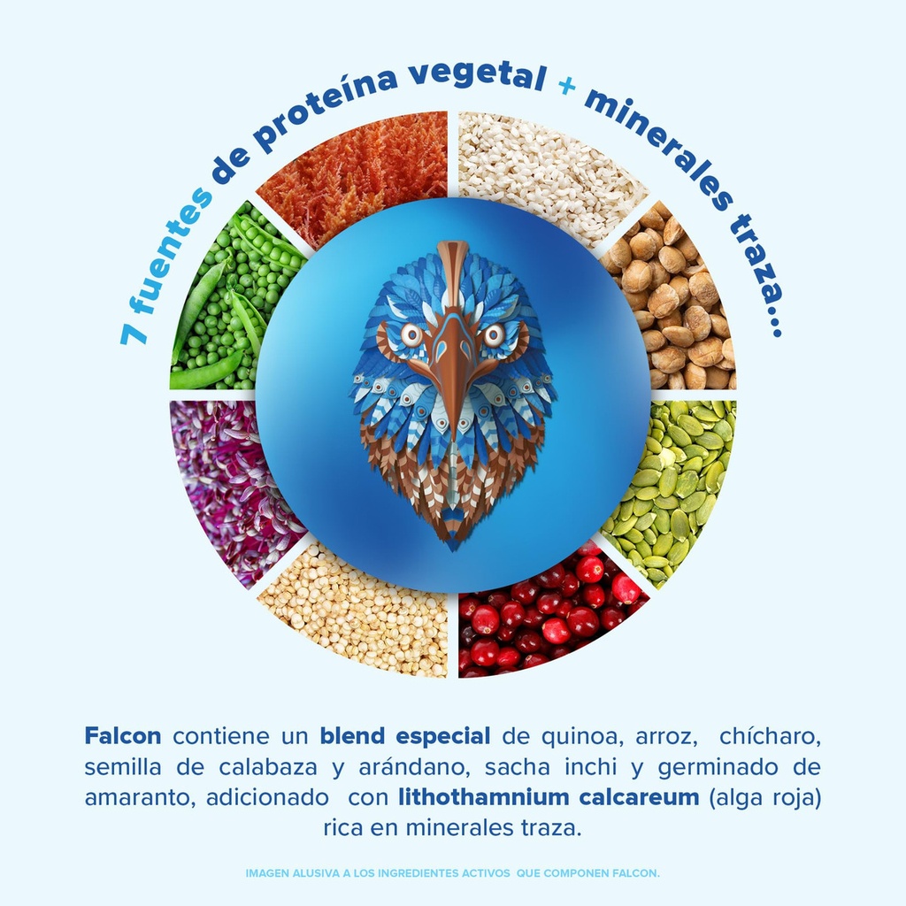 Proteína Vegetal Orgánica Polvo Falcon Protein 1.8kg Birdman Sabor Chocolate