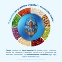 Proteína Vegetal Orgánica Polvo Falcon Protein 1.8kg Birdman Sabor Chocolate