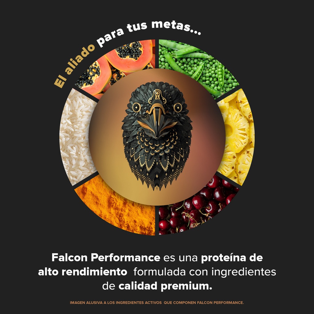 Birdman Falcon Performance Choco Bronze 10 Pack Sobres