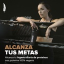 Birdman Falcon Performance Multipack 10 Blends Vainilla