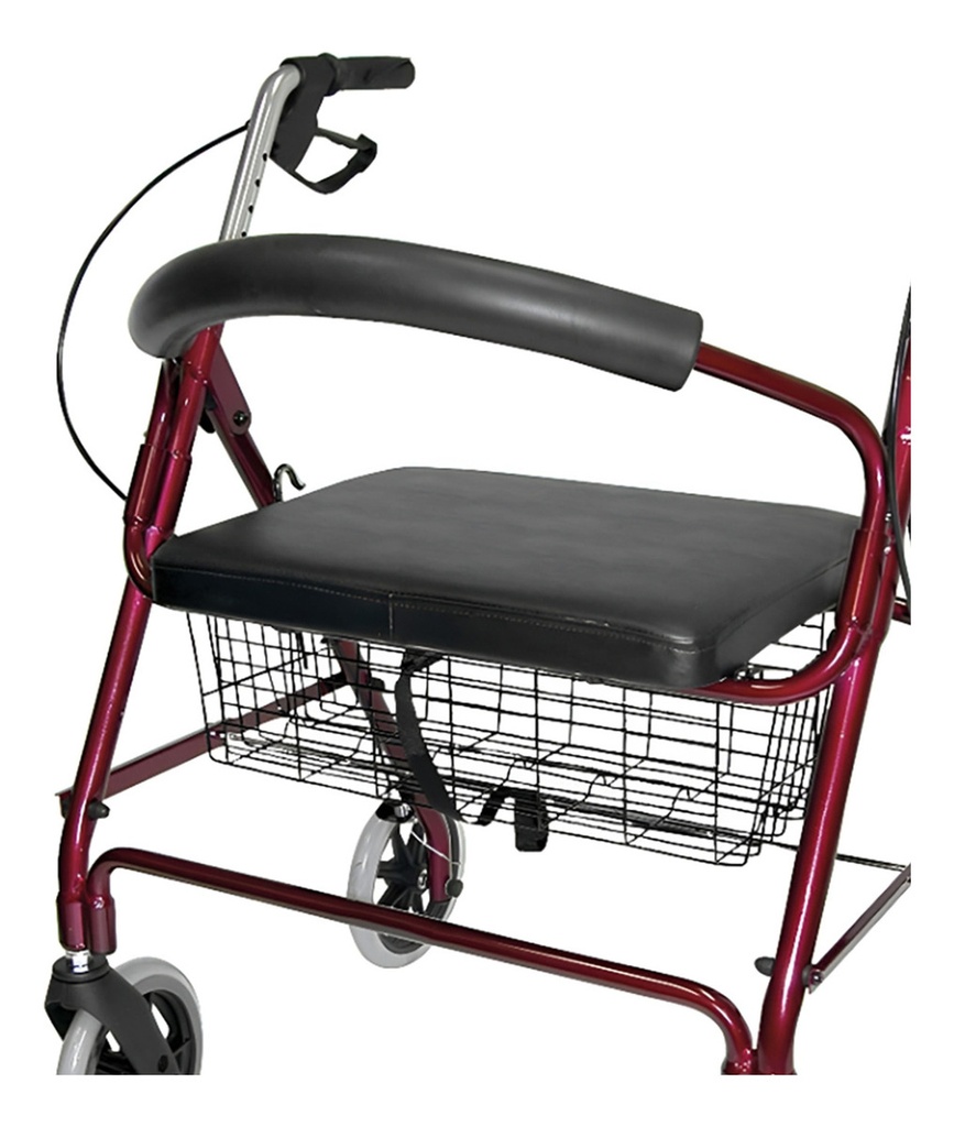 Andadera Para Adulto Rollator Con Canastilla Sc-861