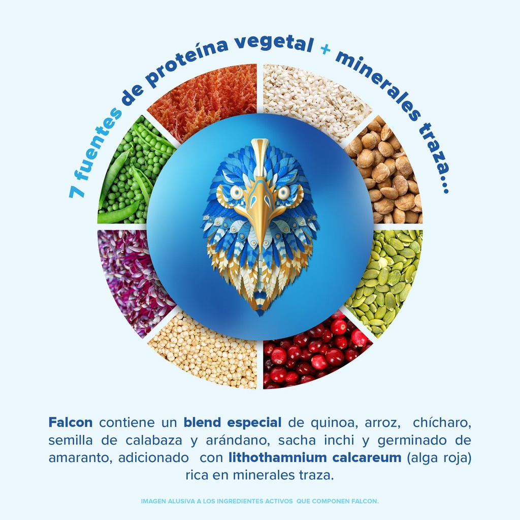 Proteína Vegetal Orgánica Polvo Falcon Protein 1.8kg Birdman Sabor Vainilla